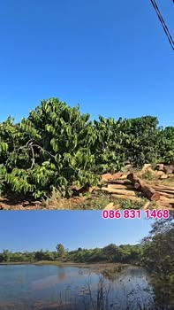 Bán vườn cà phê 1,1ha tại Ia Grai, Gia Lai - Ôm hồ tự nhiên, giá 2,4 tỷ