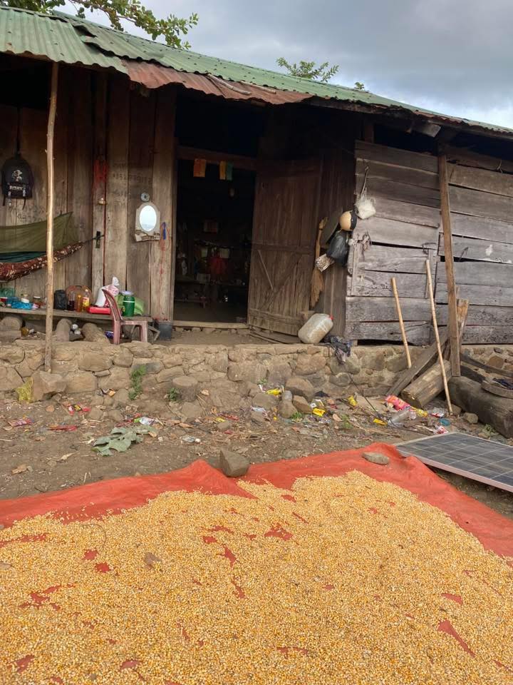 Farm 2ha tại xã Ea Lê, huyện Ea Súp, Đắk Lắk giá 270 triệu - Đầu tư sinh lời ngay!