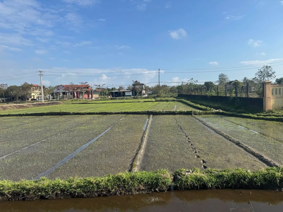 Đất nền QL49B Huế 70m² giá 59 triệu - Sổ đỏ chính chủ sẵn sàng giao dịch!