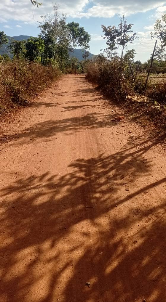 Farm cho thuê tại Làng Ren, Xã Hòa Phú, 350 triệu/năm - Đất đỏ bằng phẳng, phù hợp trồng trọt!