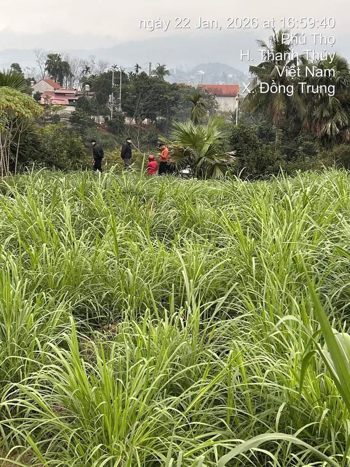 Đất nền 180m² tại Khu 1, Xã Đồng Trung, Phú Thọ - Giá thỏa thuận hấp dẫn!