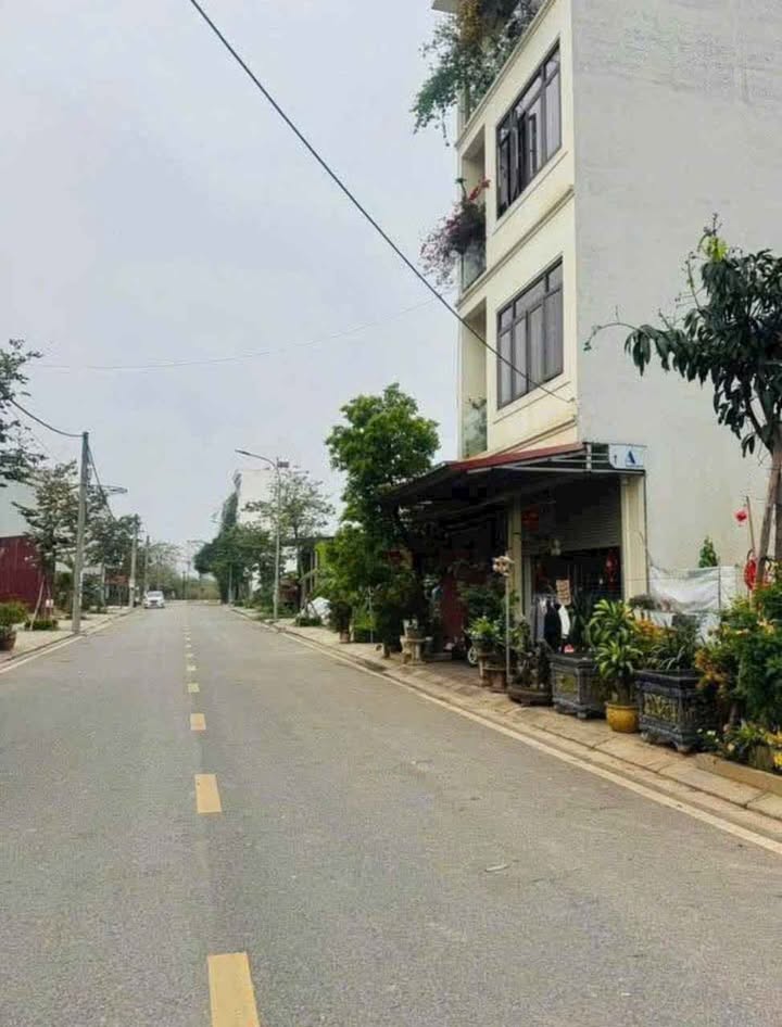 Đất thổ cư xã Thư Lâm 61m² giá thỏa thuận - Sổ đỏ chính chủ, đầu tư sinh lời!