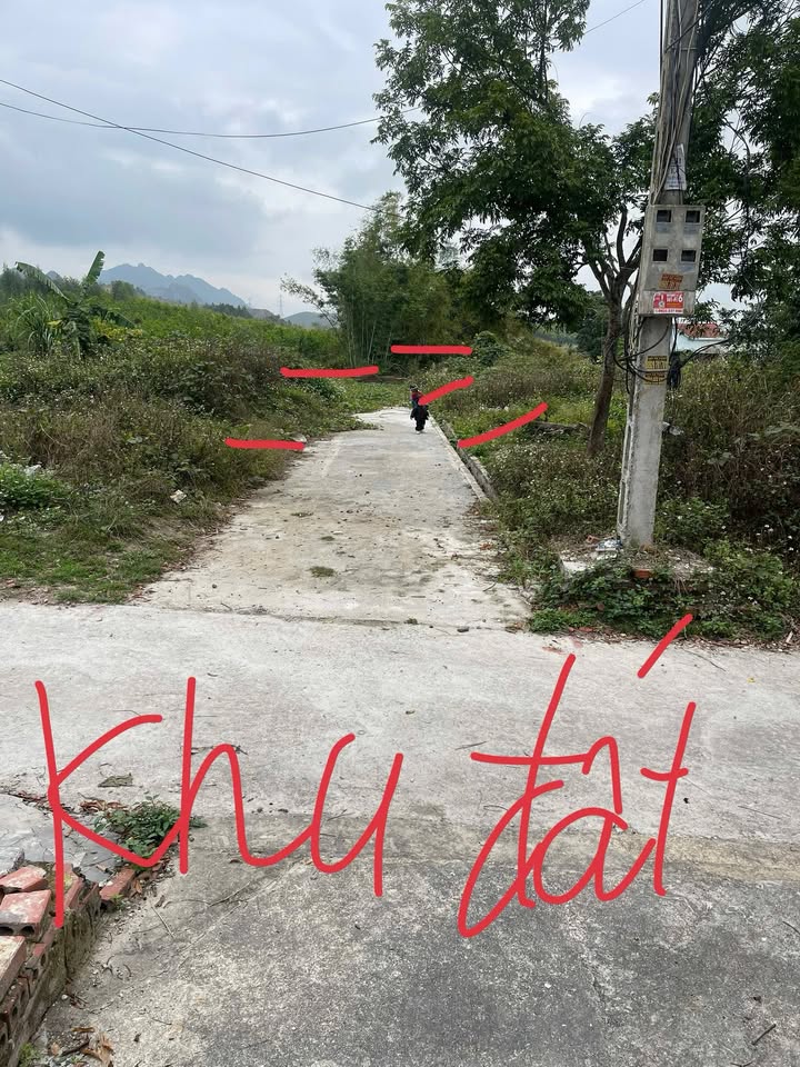 Đất nền Hạ Long 195m² giá chỉ 1 tỷ - Cơ hội đầu tư hấp dẫn!