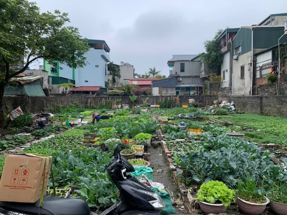 Đất Cửa Ông Quảng Ninh 120m² giá 1.44 tỷ - Cơ hội đầu tư hấp dẫn!