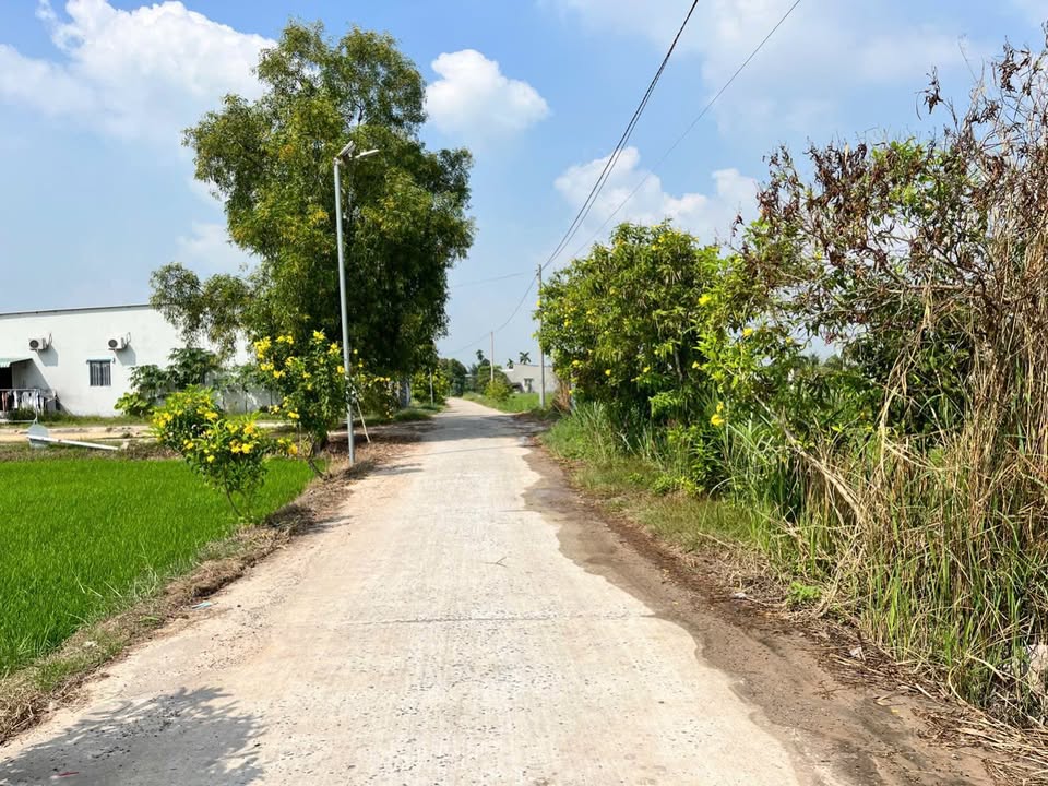 Đất nền 1000m² đường nhựa Giồng Lớn - Giá 6.2 tỷ chính chủ cần bán gấp!