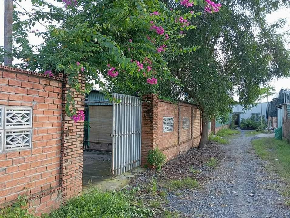 Nhà vườn 1000m² Cầu Cây Xanh, Bình Mỹ, Củ Chi giá 4.8 tỷ - Đầu tư sinh lời ngay!