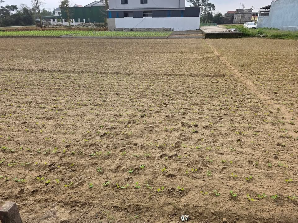 Đất nền Khối 6 Hưng Lộc, TP Vinh 116m² giá 2 tỷ - Đường thông tứ phía