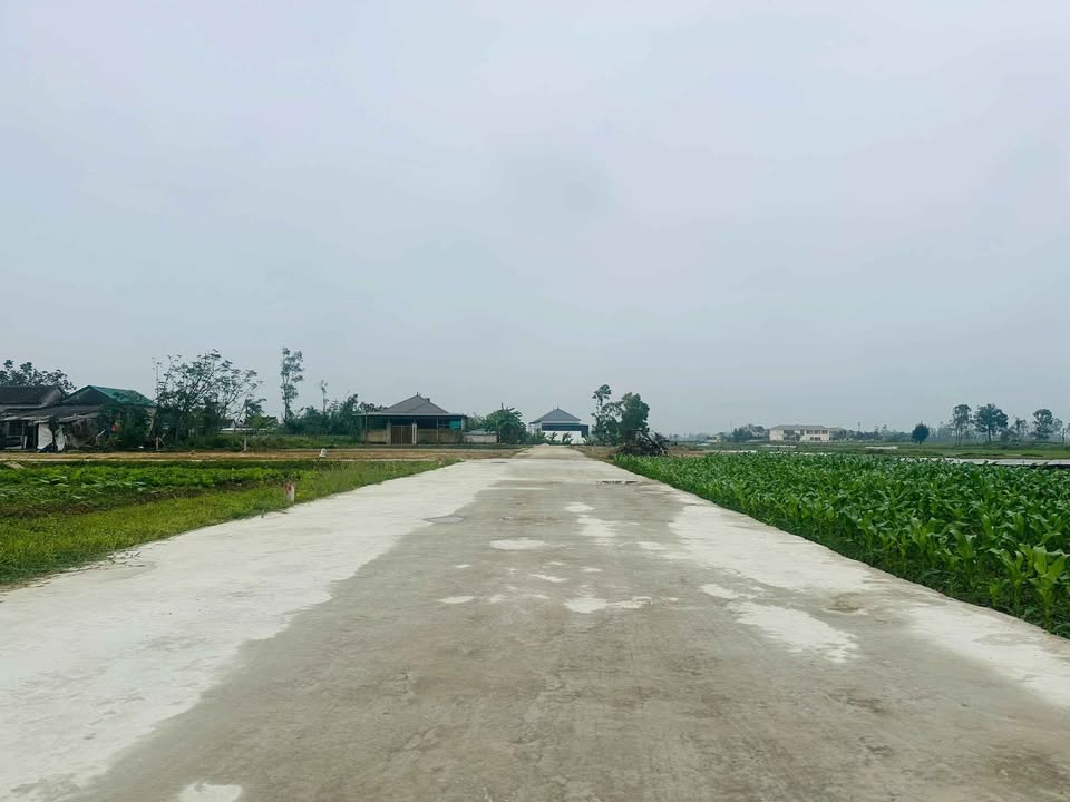 Đất nền 84m² tại Xóm Trường Sơn, Nghi Lộc - Giá chỉ 1.28 tỷ, sổ đỏ chính chủ!