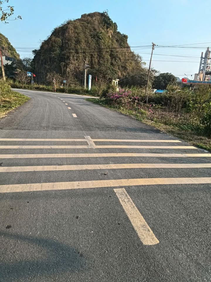 Đất nền đẹp đường Áp Phan, phường Tây Sơn, 200m² giá 8 tỷ - Cơ hội đầu tư tuyệt vời!