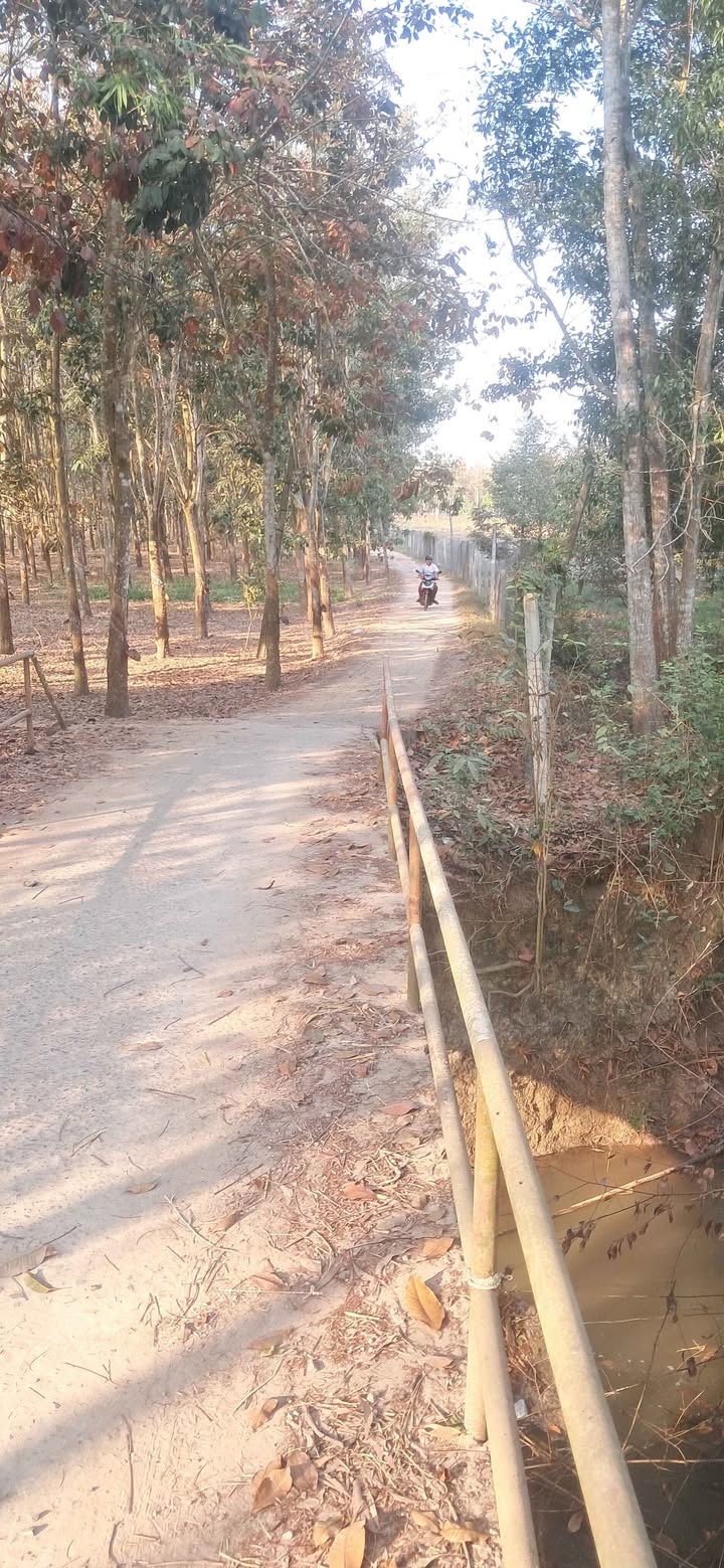 Đất nền Ấp Bến Rộng, Xã Thạnh Đức, Huyện Gò Dầu, 2100m² - Cơ hội đầu tư tuyệt vời!