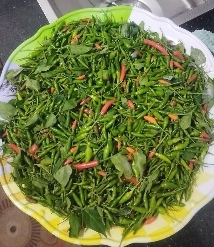 Đất mặt tiền Dã Tượng, An Phú, Pleiku 130m² giá 900 triệu - Đầu tư sinh lời ngay!