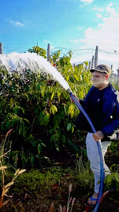 Đất rẫy cà phê 1ha tại Kon Gang, Đăk Đoa - Điện nước đầy đủ, giá thỏa thuận!