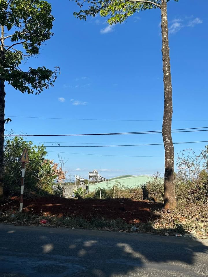 Đất mặt tiền Ngô Quyền, Phường Hoa Lư, Pleiku 95m² - Cơ hội đầu tư tuyệt vời!