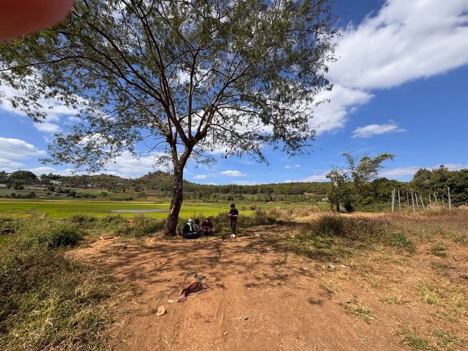 Đất nền 324m² Phường Diên Hồng, Pleiku - Giá chỉ 600 triệu, Hướng Đông Nam!