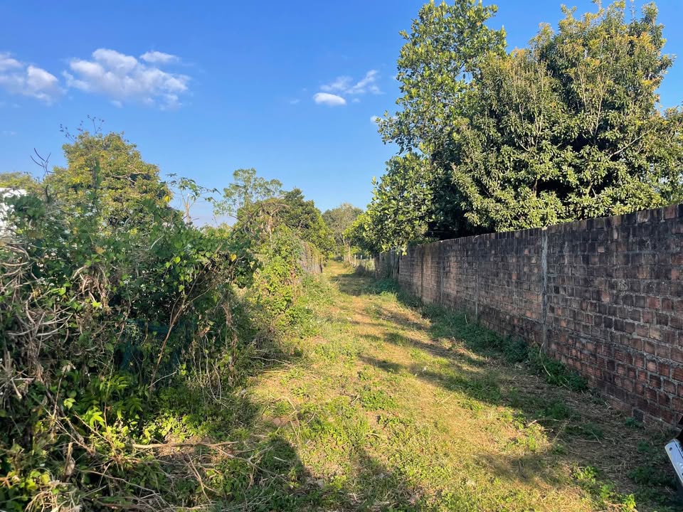 Đất thổ cư Xã Biển Hồ 100m² giá thỏa thuận - Cơ hội đầu tư tuyệt vời!