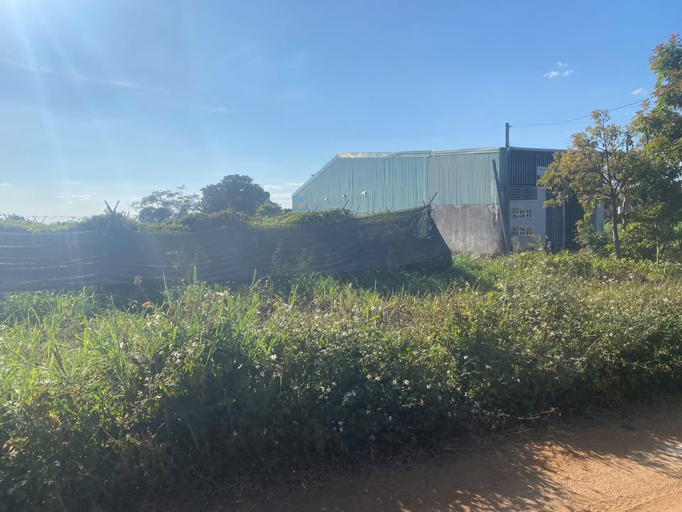 Đất thổ cư 125m² giá chỉ 600 triệu - Cơ hội đầu tư tại An Phú!