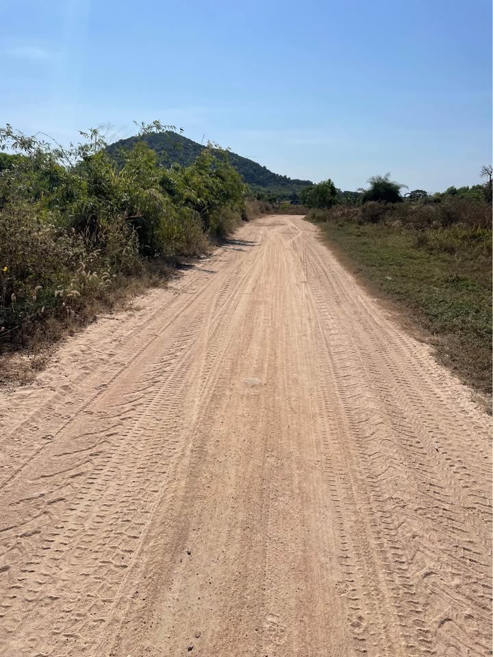 Đất nền 30.000m² mặt tiền đường 300m - Cơ hội đầu tư tuyệt vời tại Tân Tiến, La Gi