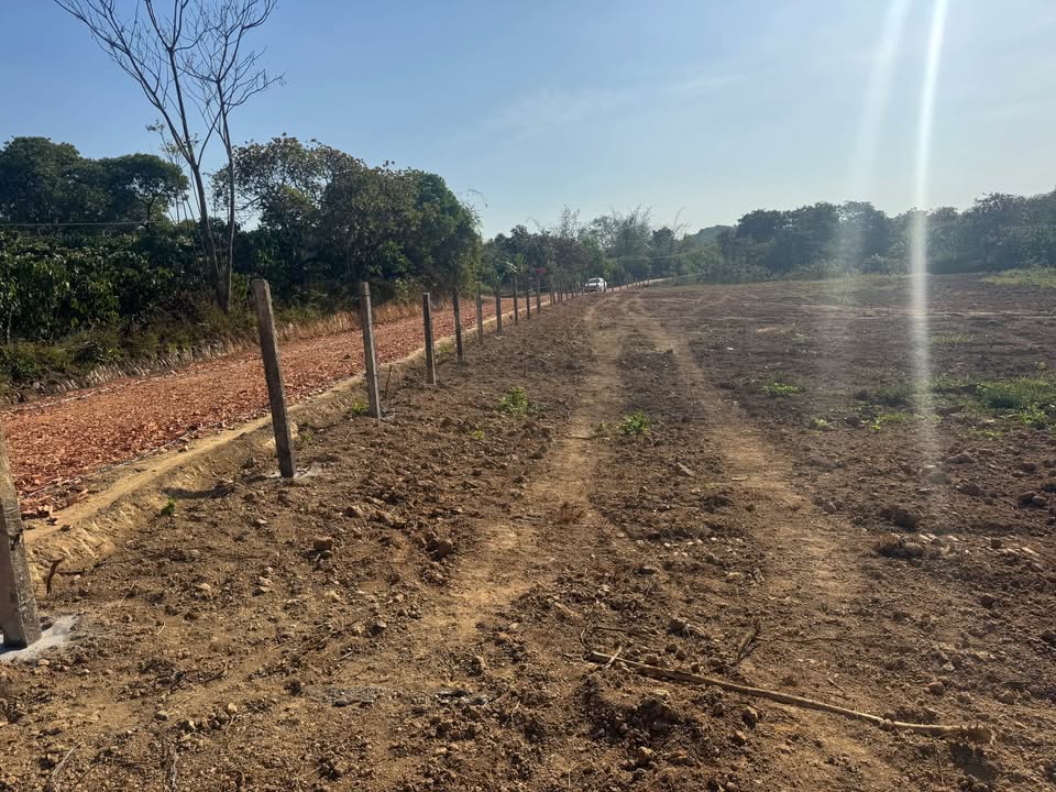 Đất nền Trúc Sơn, Cư Jút 1000m² giá 265 triệu - Đầu tư sinh lời hấp dẫn!