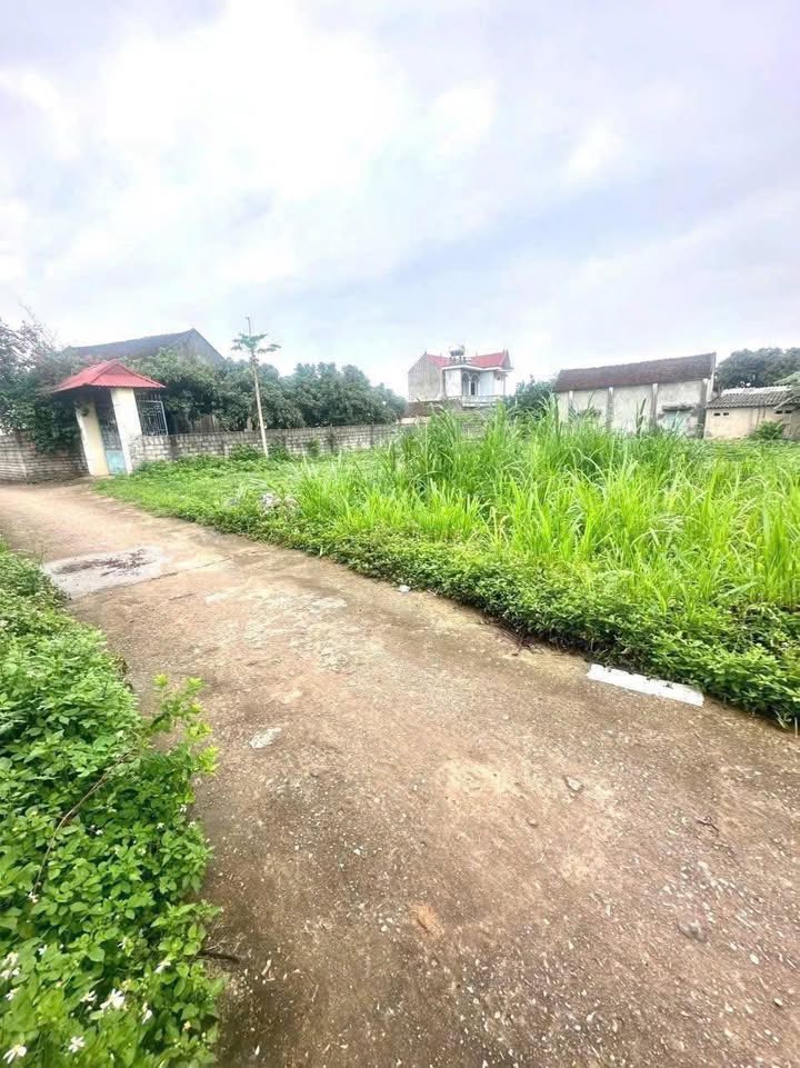 Đất thổ cư thôn Quât, xã Hợp Đức, 137.9m² - Cơ hội đầu tư tuyệt vời!