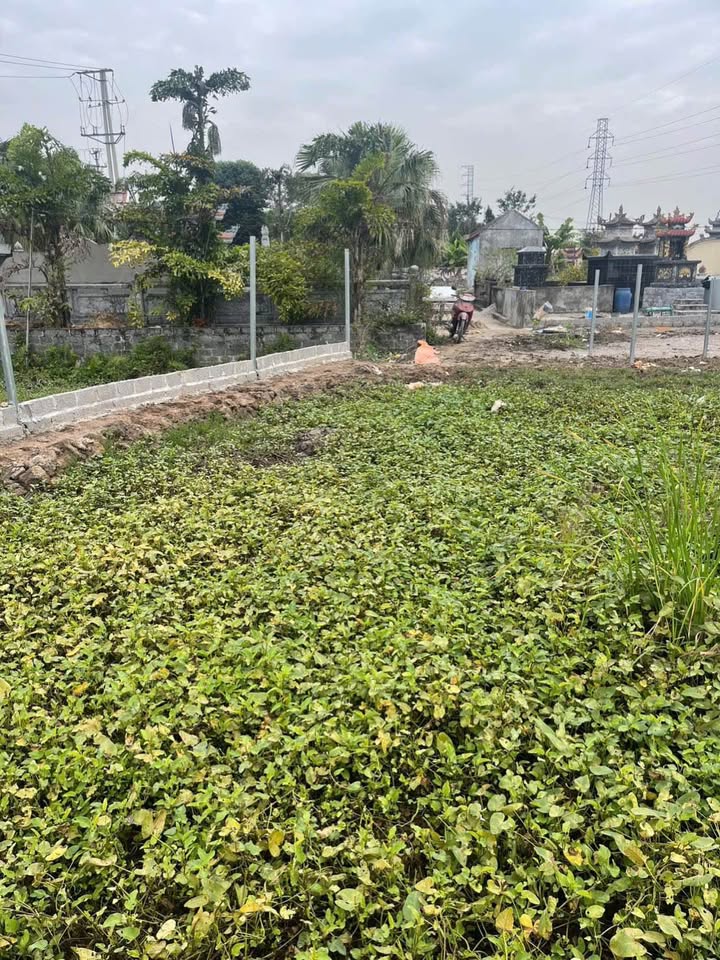 Đất nền 860m² tại TDP Nhất Trí, An Dương - Đầu tư lý tưởng!