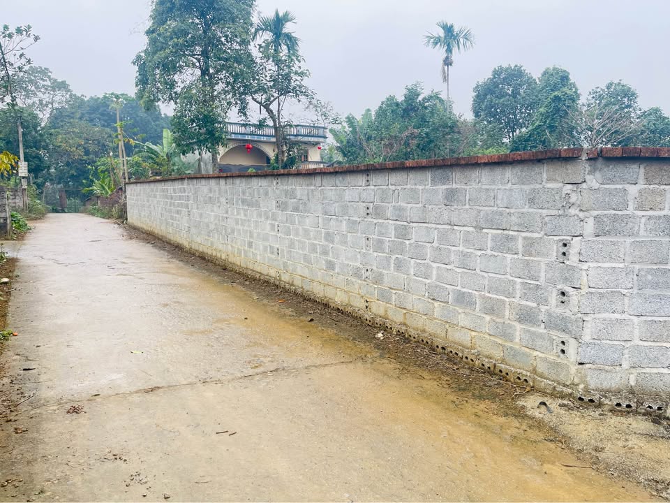 Đất nền Cư Yên, Lương Sơn, Hòa Bình 1.000m² - Sổ đỏ chính chủ, giá thương lượng