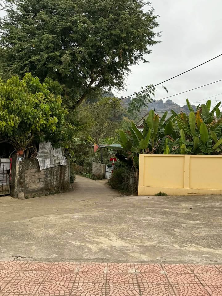 Đất thổ cư 230m² tại Bản Phiêng Ngùa, Sơn La - Giá chỉ 700 triệu!