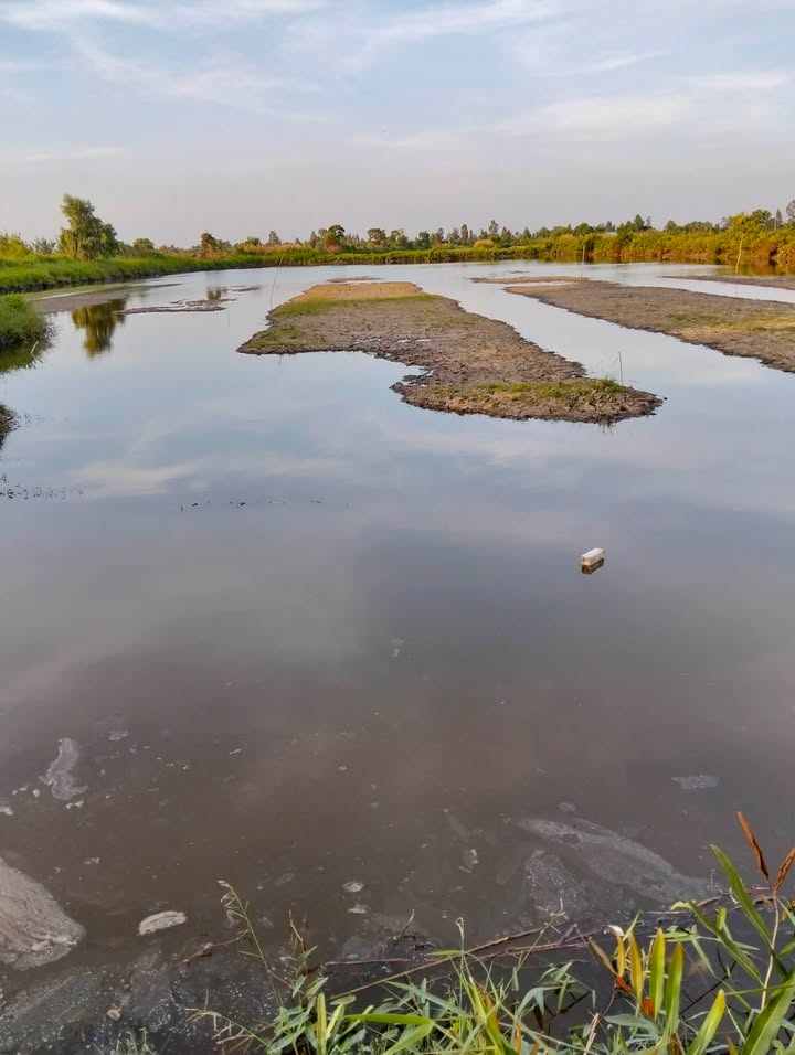 Đất nền 9000m² Xã Đông Hưng, Huyện An Minh giá 500 triệu - Cơ hội đầu tư hấp dẫn!