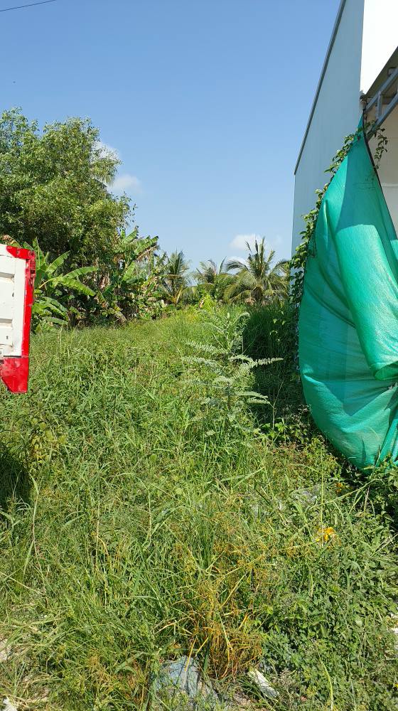 Đất nền đường Lâm Quang Ky, Châu Thành, 311m² giá 1.7 tỷ - Đầu tư sinh lời!