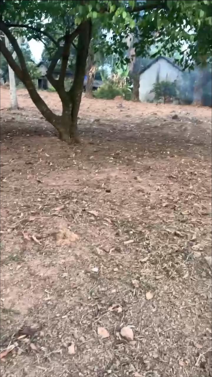 Bán gấp nhà vườn biệt thự tại An Khánh, Đại Từ, 1500m² chỉ 3 tỷ