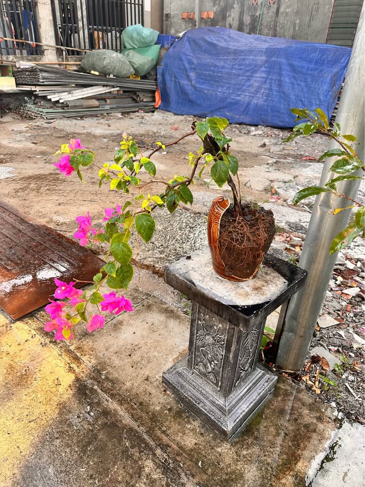 Đất mặt tiền đường Tân Phước, Phú Mỹ 120m² giá 1 tỷ - Cơ hội kinh doanh tuyệt vời!