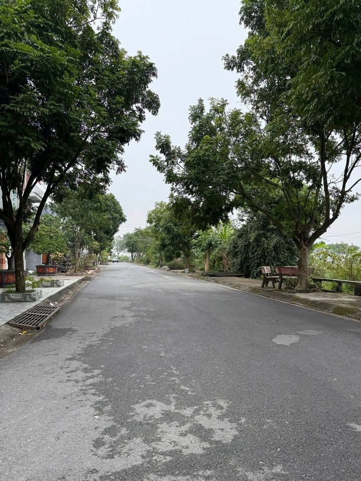 Đất thổ cư 100m² tại Thị trấn Liễu Đề, Nghĩa Hưng - Giá chỉ 2,1 tỷ!