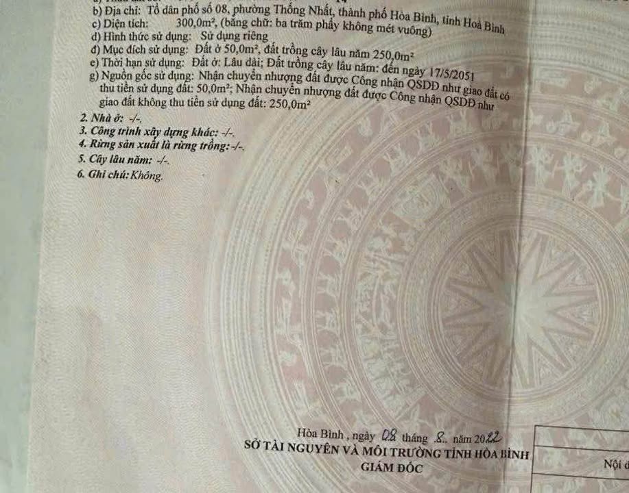 Đất Lạc Thủy 300m² giá 1 tỷ - Sổ đỏ chính chủ, ô tô vào tận nơi!