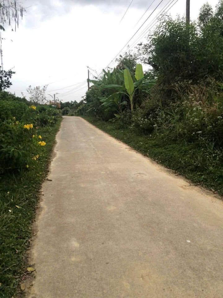 Đất mặt tiền đường bê tông tại Phú Lập, Tân Phú 1200m² giá chỉ 350 triệu - Cơ hội đầu tư hấp dẫn!