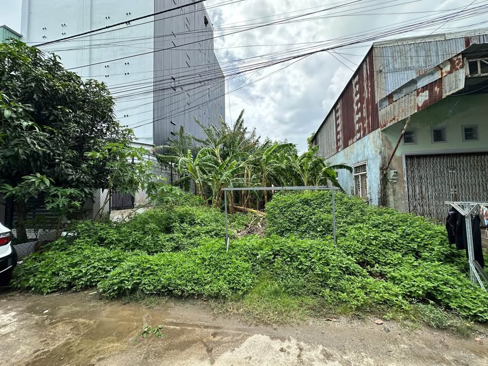 Đất nền Rạch Giá 100m² giá chỉ 600 triệu - Cơ hội đầu tư sinh lời!