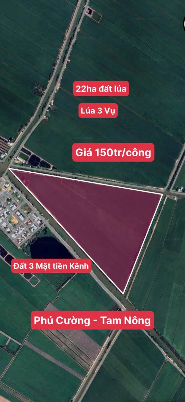 Đất nông nghiệp 22ha tại Phú Cường, Tam Nông - Sổ đỏ chính chủ, giá chỉ 33 tỷ