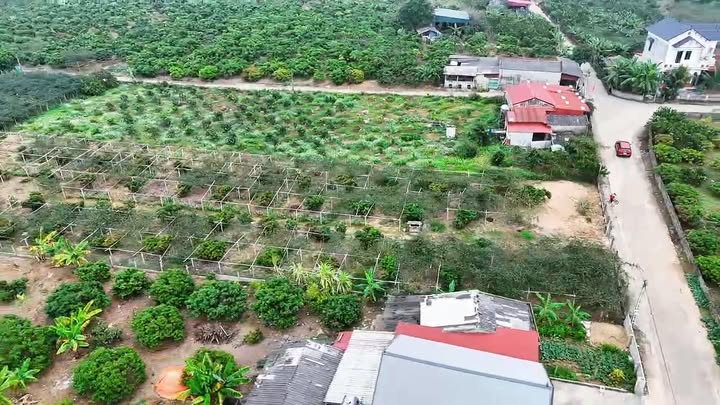 Đất thổ cư Tân Lập, Lục Ngạn 2420m² chỉ 1.468 tỷ - Cơ hội đầu tư tuyệt vời!