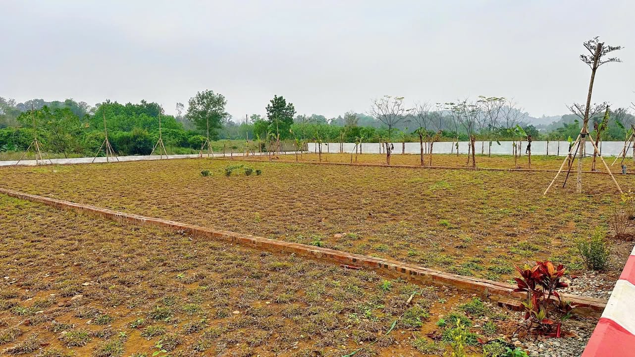 Đất nền lô góc 590m² Cư Yên - Cơ hội đầu tư hấp dẫn tại Lương Sơn