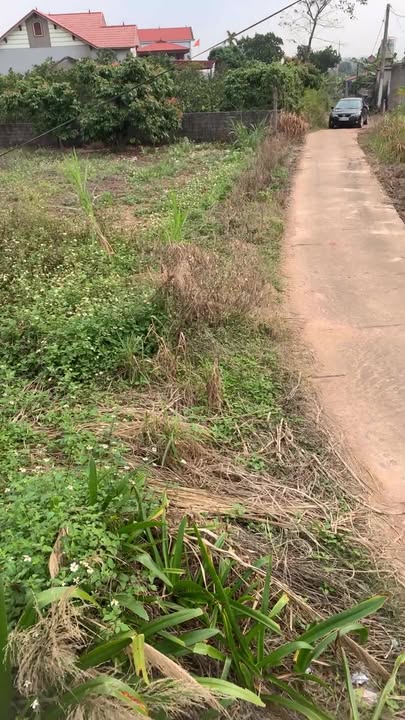 Đất nền Trại Mít, Đông Hưng, Lục Nam, Bắc Giang 160m² giá 600 triệu - Đầu tư lý tưởng!