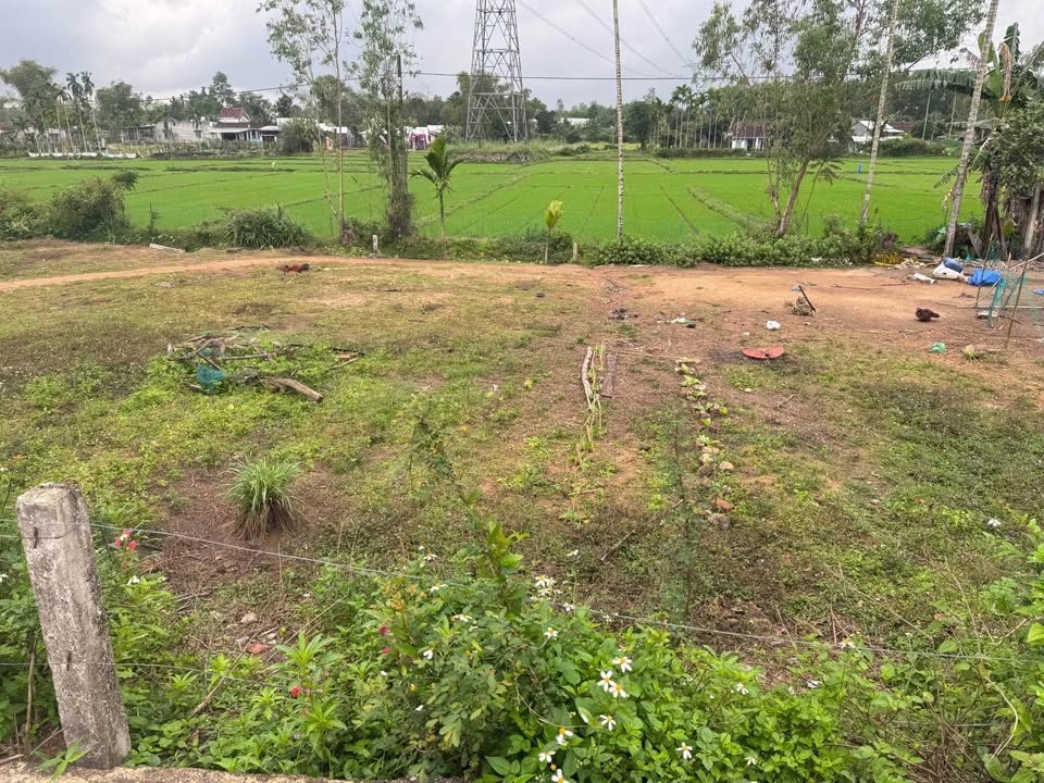 Đất nền Hòa Bình - Tam Thái 120m² giá chỉ 4xx triệu - Cơ hội đầu tư hấp dẫn!