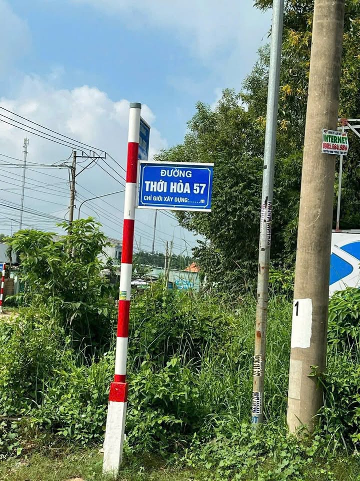 Đất mặt tiền đường nhựa Thới Hòa, Bến Cát 5000m² - Cơ hội đầu tư hấp dẫn!