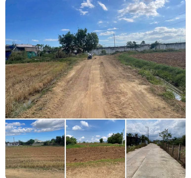 Đất thổ cư 800m² tại Hàm Chính, 590 triệu - Đầu tư hấp dẫn!