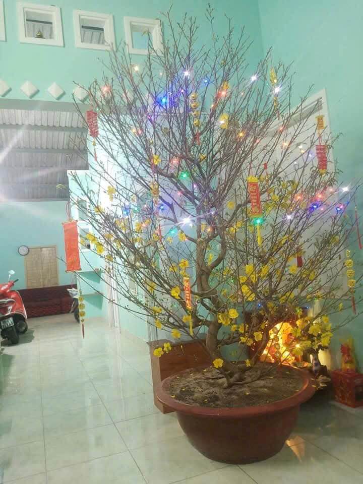 Nhà cấp 4 Tiến Lợi 200m² giá 1.3 tỷ - Sẵn sàng ở ngay!