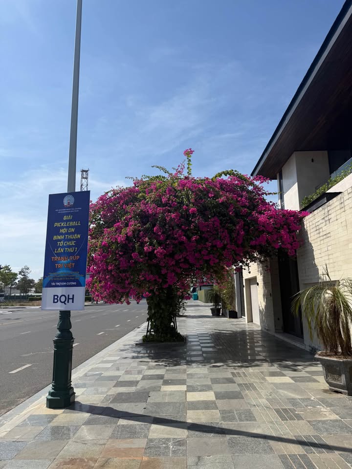 Đất thổ cư 400m² mặt tiền nhựa xã Phan Lâm, giá chỉ 400 triệu - Cơ hội đầu tư tuyệt vời!