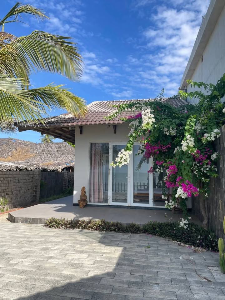 Cho thuê mặt bằng kinh doanh và homestay sát biển Hàm Tiến 420m² - Cơ hội đầu tư hấp dẫn!