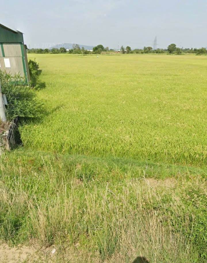 Lô đất mặt tiền bê tông 5000m² tại Thôn Dốc Lăng, Huyện Hàm Thuận Bắc - Giá chỉ 4.9 tỷ