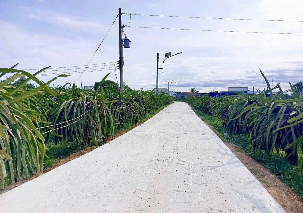 Đất thổ cư 100m² tại Hàm Liêm - Giá chỉ 300 triệu - Đầu tư sinh lời ngay!