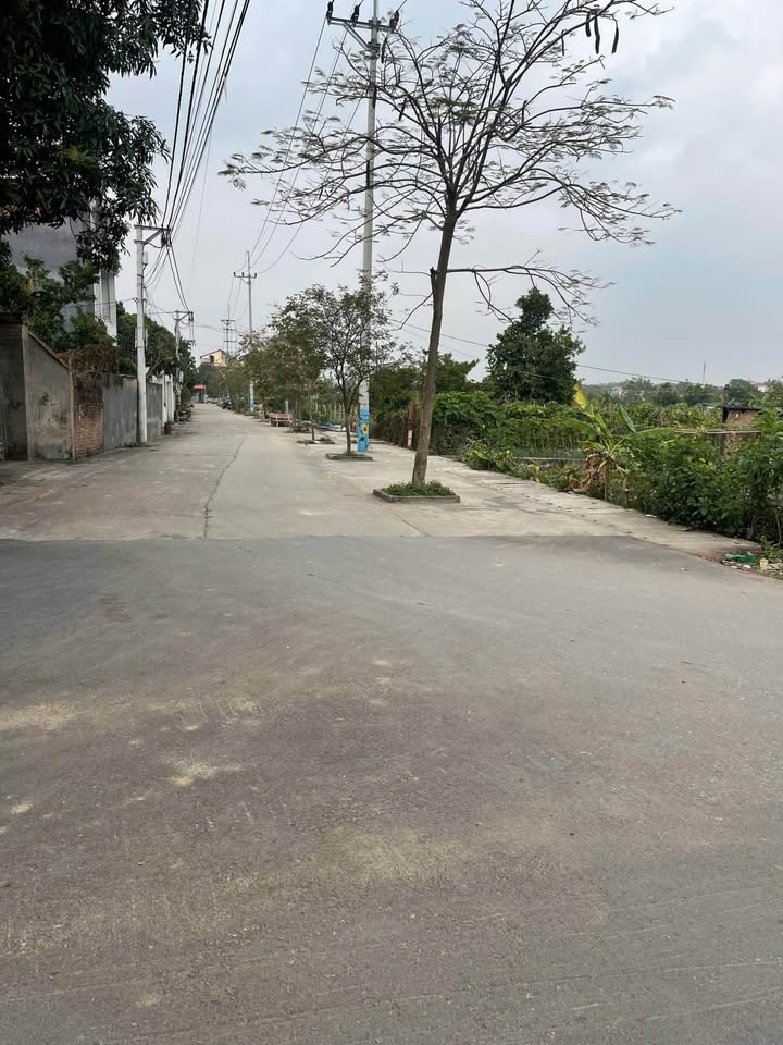 Đất nền Bảo Tháp - Quang Minh 90m² giá 3 tỷ - Hàng hiếm khó tìm!