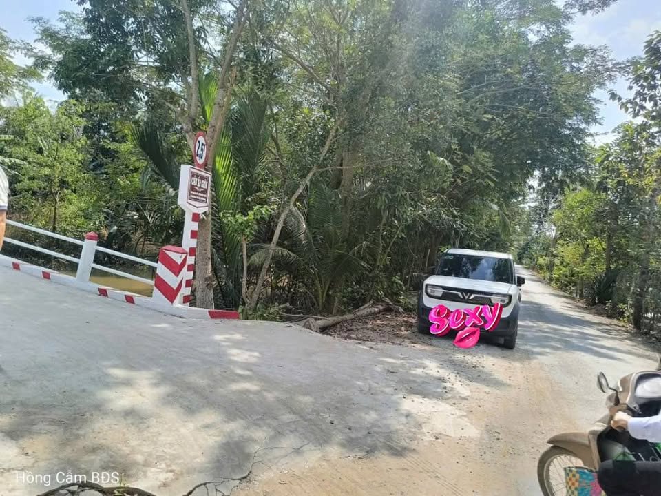 Đất vườn 110.000m² tại Loan Mỹ, Tam Bình, Vĩnh Long - Chính chủ bán gấp!