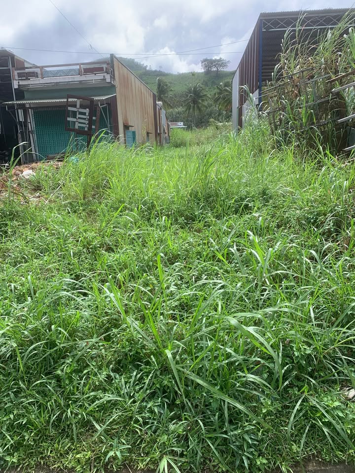 Đất mặt tiền QL19 - Thị xã An Khê - 211.1m² giá 1.05 tỷ - Vị trí đẹp, thương lượng tốt!