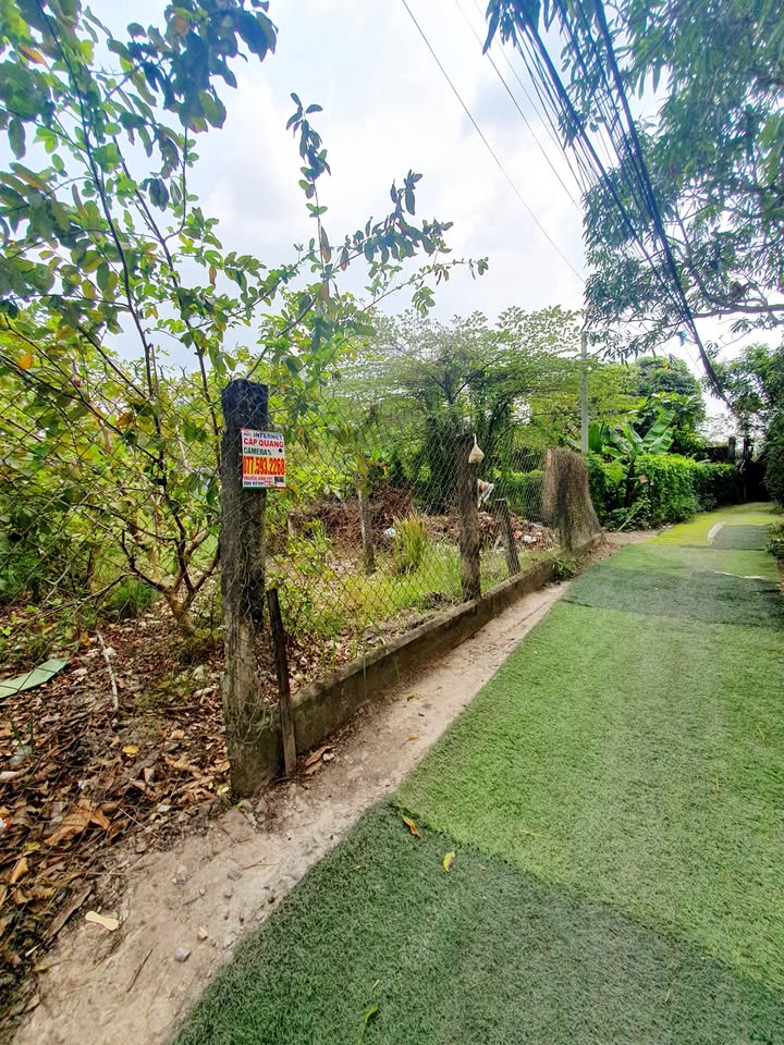 Đất nền Hưng Long Bình Chánh 60m² giá chỉ 500 triệu - Đầu tư sinh lời bền vững!